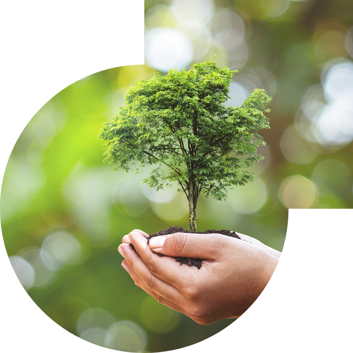 关怀人类、文化、环境与社会